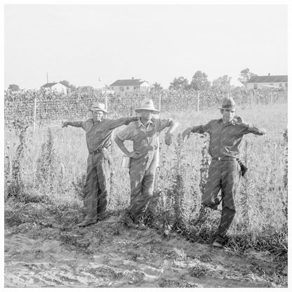 Young Farmers at Lake Dick Arkansas 1939 - Available at KNOWOL