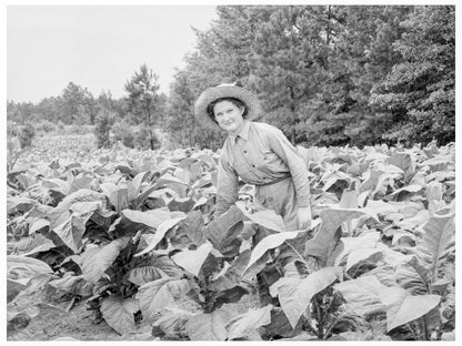 Young Girl Tending Tobacco Patch Granville County 1939 - Available at KNOWOL