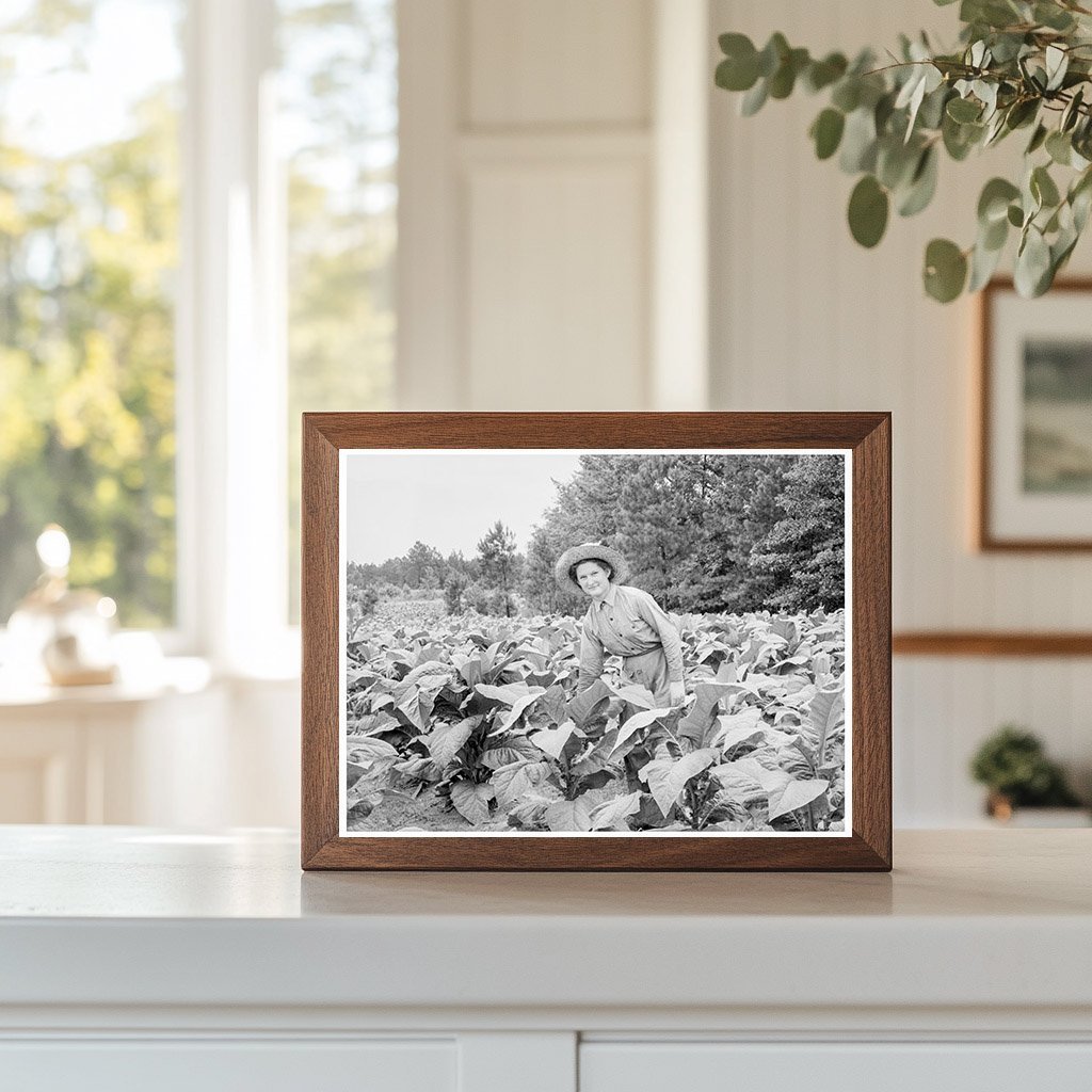 Young Girl Tending Tobacco Patch Granville County 1939 - Available at KNOWOL