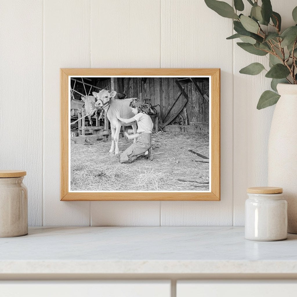 Young Girl with Calf on Pear Farm Oregon 1939 - Available at KNOWOL