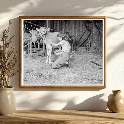 Young Girl with Calf on Pear Farm Oregon 1939 - Available at KNOWOL