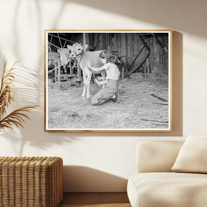 Young Girl with Calf on Pear Farm Oregon 1939 - Available at KNOWOL