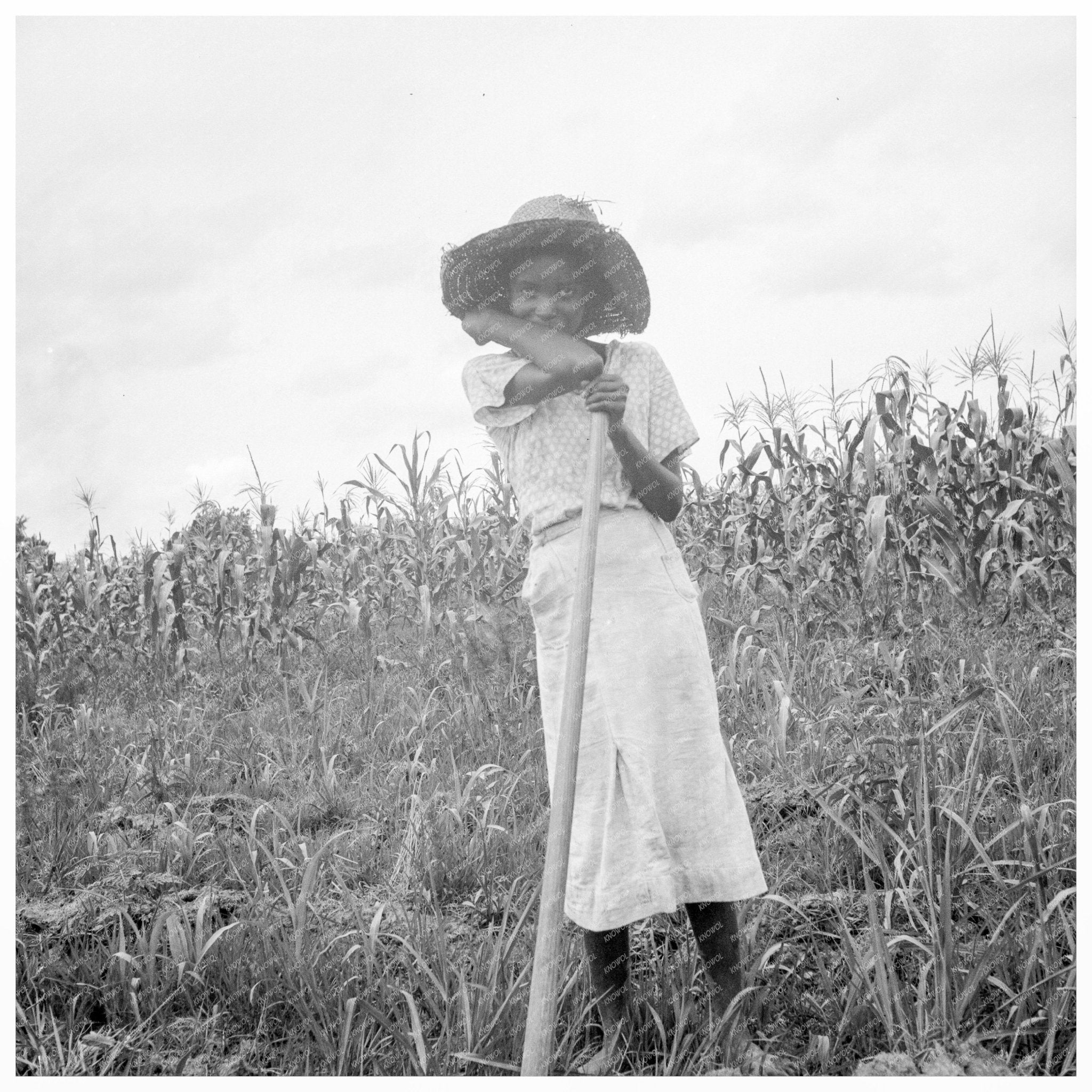 Young Girl Working in Mississippi Delta Fields 1936 - Available at KNOWOL