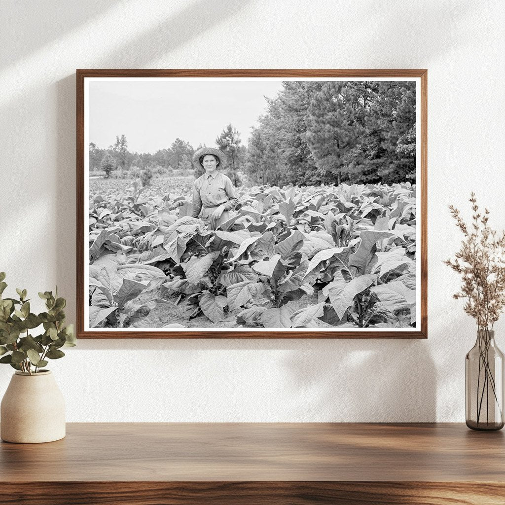 Young Girl Working Tobacco Patch Granville County 1939 - Available at KNOWOL