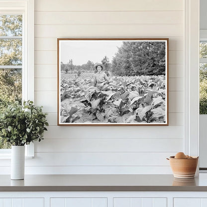 Young Girl Working Tobacco Patch Granville County 1939 - Available at KNOWOL