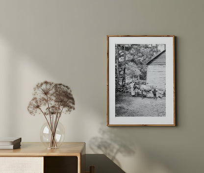 Young Tenant Farmers Son Gathering Sticks Granville County North Carolina July 1939 - Available at KNOWOL